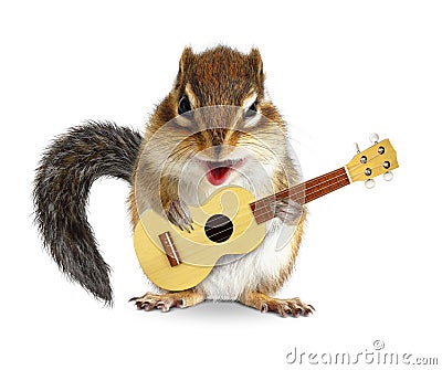 Funny animal chipmunk with guitar like a singer Stock Photo