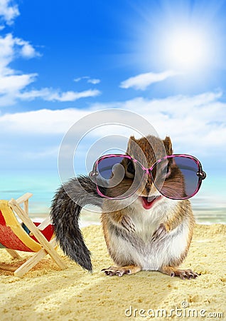 Funny animal chipmunk with sunglasses on sandy beach Stock Photo