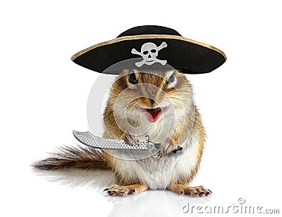 Funny animal pirate, squirrel with hat and sabre Stock Photo