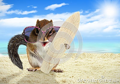 Funny animal squirrel with sunglasses and surfboard on the beach Stock Photo