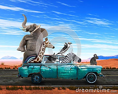 Funny Animals, Road Trip, Travel, Vacation Cartoon Illustration