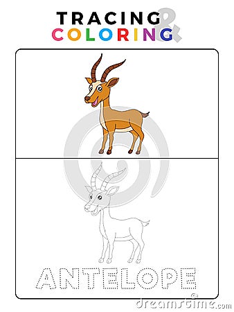 Funny Antelope Deer Animal Tracing and Coloring Book with Example. Preschool worksheet for practicing fine motor and color Stock Photo