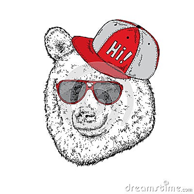 Funny bear with glasses and a cap. Vector illustration for a postcard or a poster, print for clothes. Hipster. Wild animal. Vector Illustration
