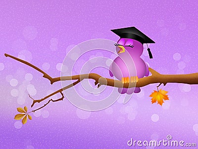 Funny bird graduate Stock Photo
