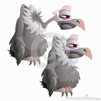 Funny bird vulture on a white background, isolated Vector Illustration