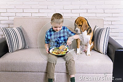 Funny boy with dog beagle eating fried potatoes with a hamburger Stock Photo