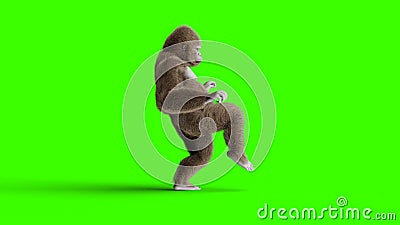 Funny brown gorilla walking. Super realistic fur and hair. Green screen. 3d rendering. Stock Photo