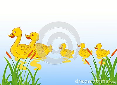 Funny cartoon duck family Cartoon Illustration