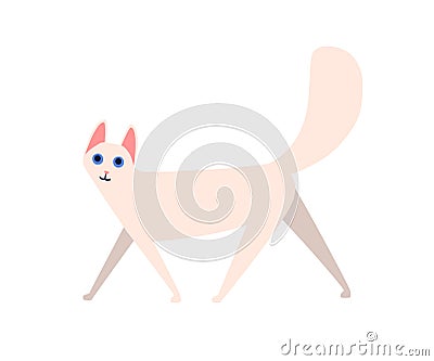 Funny cartoon fluffy cat angora vector flat illustration. Cute domestic animal with blue eyes and furry tail isolated on Vector Illustration