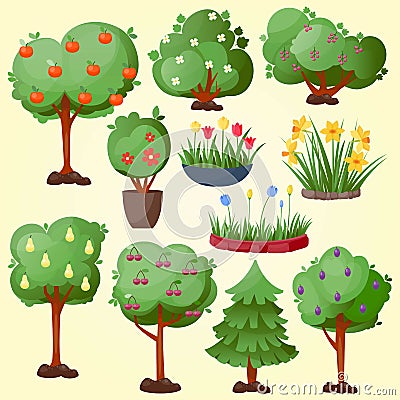 Funny cartoon green garden park tree with fruits set vector nature elements wood graphic illustration Vector Illustration