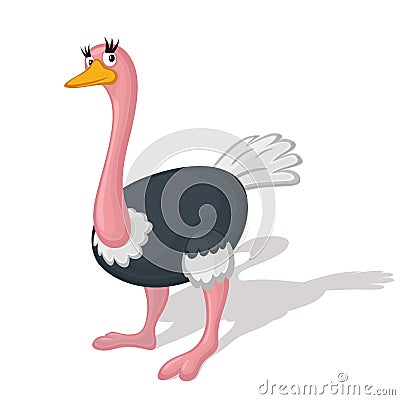 Funny cartoon ostrich illustration. Cartoon Illustration