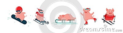 Funny cartoon pigs. Winter vector sport activities. Symbol of the New Year. Excellent for the design of postcards Vector Illustration