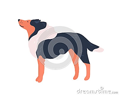 Funny cartoon purebred collie dog vector flat illustration. Elegant domestic cute animal character isolated on white Vector Illustration