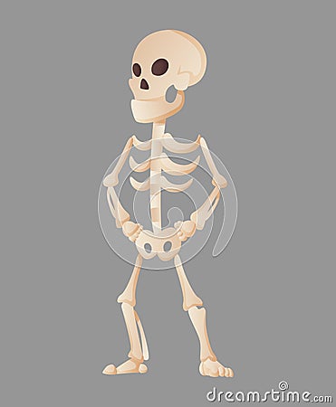 Funny cartoon skeleton posing while standing. Vector bony character. Human bones illustration skeletal. Dead man on Vector Illustration