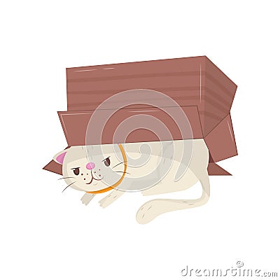 Funny cat hiding under cardboard box. Kitten with cunning muzzle expression. Domestic animal. Flat vector element for Vector Illustration