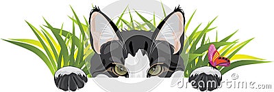 Funny cat looks out of the grass and plays with butterfly Vector Illustration