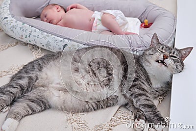 Funny cat next to a newborn baby to a cocoon on the crib Stock Photo