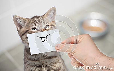 Funny cat with smile on cardboard sitting near food Stock Photo