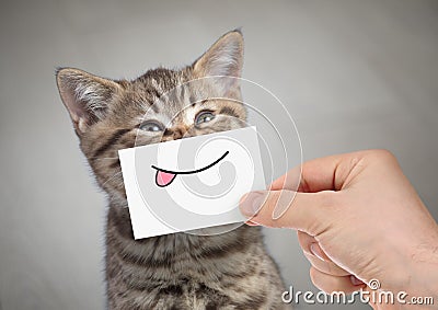 Funny cat smiling with tongue Stock Photo