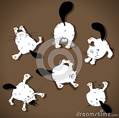 Funny cats Vector Illustration