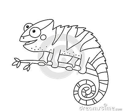 Funny chameleon lizard character for kid coloring book. Reptile with curved tail sitting on branch of jungle tree Vector Illustration