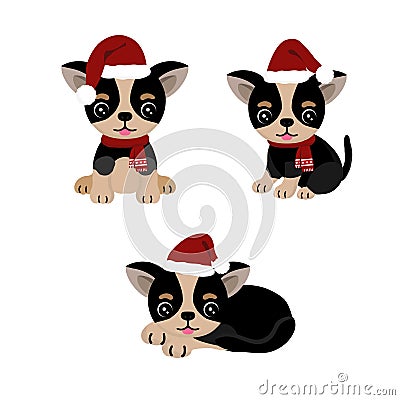 Funny Chihuahua Dog in Christmas hat. Stock Photo