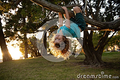 Funny child climbing a tree in the garden. Active kid playing outdoors. Portrait of cute kid boy sitting on the branch Stock Photo