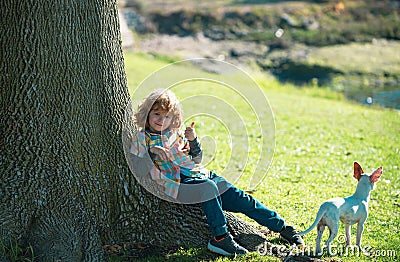 Funny child with dog walking at spring lawn in the park outdoor. Kids insurance. Pretty little cute child baby boy, play Stock Photo