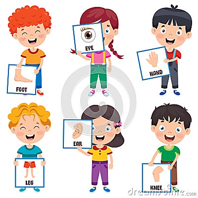 Funny Child Showing Human Body Parts Vector Illustration