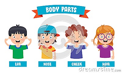 Funny Child Showing Human Body Parts Vector Illustration