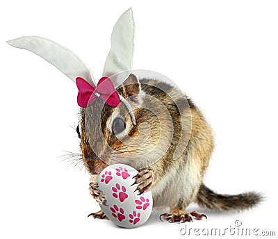 Funny chipmunk with bunny ears and easter egg Stock Photo