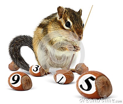 Funny chipmunk playing snooker Stock Photo