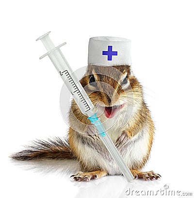 Funny chipmunk veterinarian with syringes Stock Photo