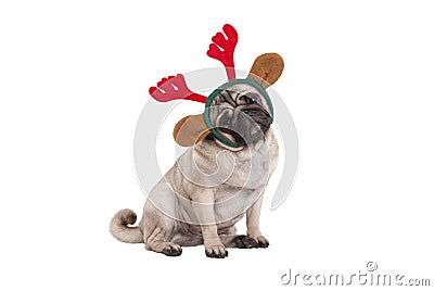 Funny Christmas pug puppy dog sitting down, wearing reindeer antlers diadem Stock Photo