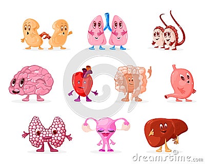 Cartoon internal human organs characters set Stock Photo