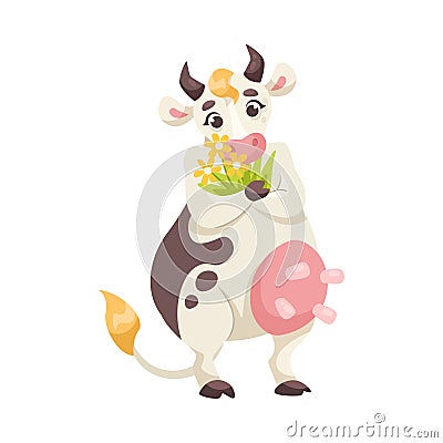 Funny Cow Character with Udder and Spotted Body Hold Flower Bunch Vector Illustration Vector Illustration