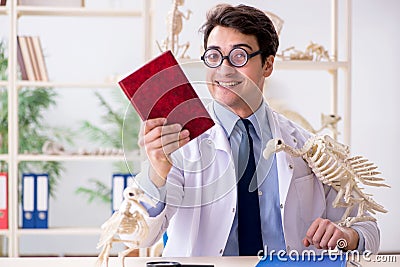 The funny crazy professor studying animal skeletons Stock Photo