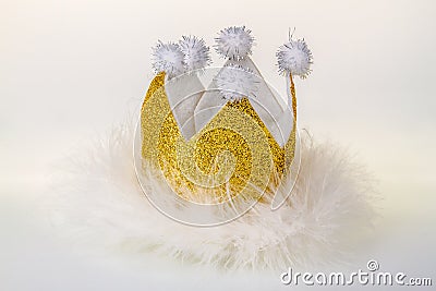 Funny crown with Feather Stock Photo