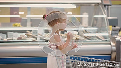Funny Cute Child Pushing Shopping Cart in Supermarket Stock Video - Video of supermarket, walking: 225482085 Funny Cute Child Pushing Shopping Cart in Supermarket Stock Video - Video of supermarket, walking: 225482085