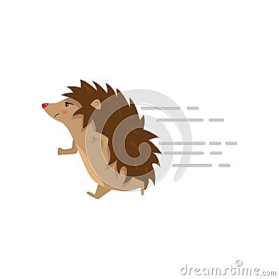 Funny cute hedgehog running fast isolated on white background Vector Illustration