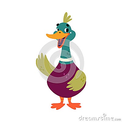 Funny Dabbling Duck Character Stand and Waving Wing Vector Illustration Vector Illustration