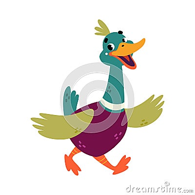 Funny Dabbling Duck Character Walking Vector Illustration Vector Illustration