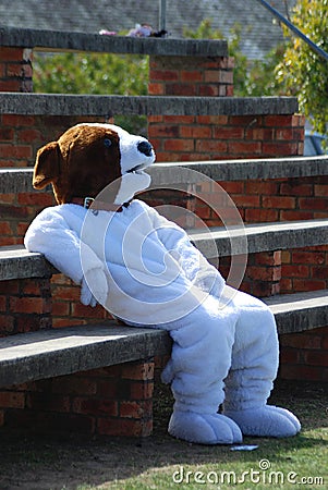 Funny dog mascot Stock Photo