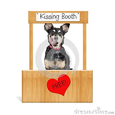 Funny Dog Kissing Booth Stock Photo