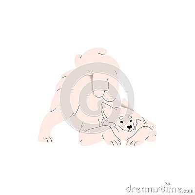 Funny dog of Samoyed breed. Cute fluffy Russian doggy in bowing down pose, inviting to play. Playful purebred canine Vector Illustration