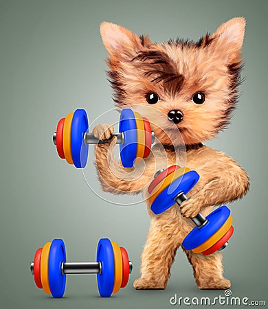 Funny dog training with dumbbell in sport gym Cartoon Illustration