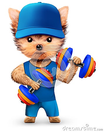 Funny dog training with dumbbell in sport gym Cartoon Illustration
