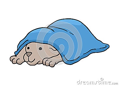 Funny dog under blanket Vector Illustration