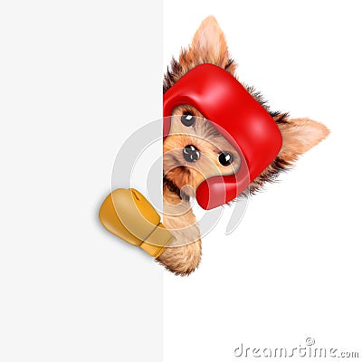 Funny dog wearing boxing helmet and gloves Cartoon Illustration