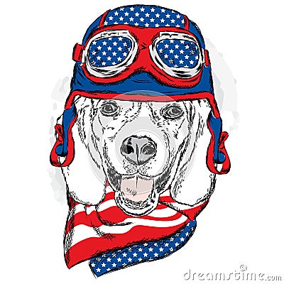 Funny dog wearing a helmet and scarf. Biker or pilot. Vector illustration for greeting card, poster, or print on clothes. Funny do Vector Illustration